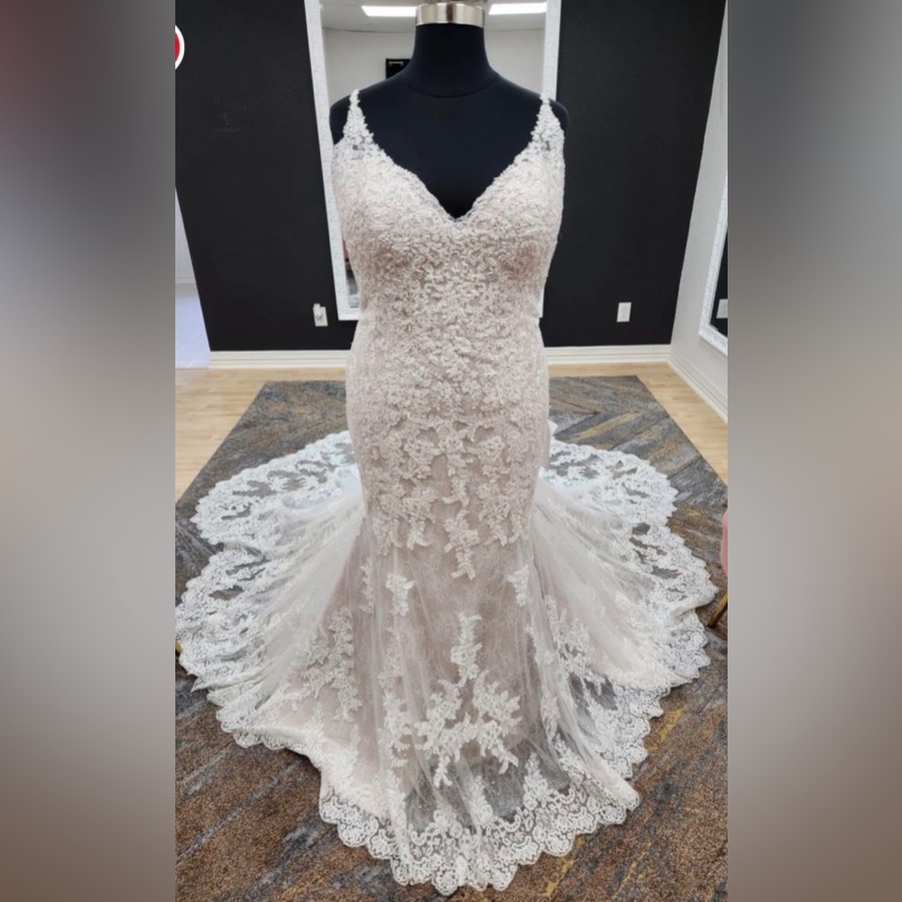 Sottero and Midgley Dublin Plus Size Wedding Dress